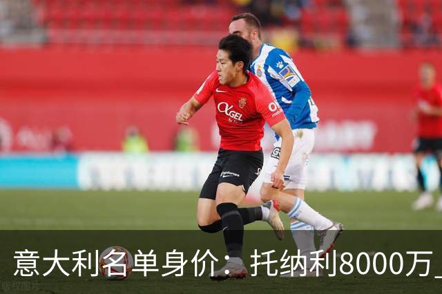 意大利名单身价：托纳利8000万 巴斯托尼6500万 仅10人超过3千万